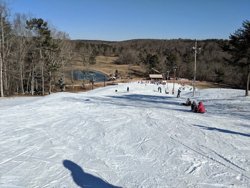 A grassy ski slope on a wooded hillside.