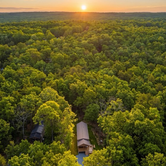 Aerial view of a cabin roof tucked into unbroken green forest on Lookout Mountain, with the sun setting over the ridge on the horizon.
